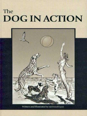 cover image of The Dog in Action